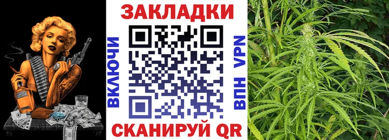 Купить закладку Канабис  APVP  Гашиш  Метадон  МЕФ  АМФЕТАМИН  Новоалтайск