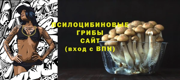 дживик Карпинск
