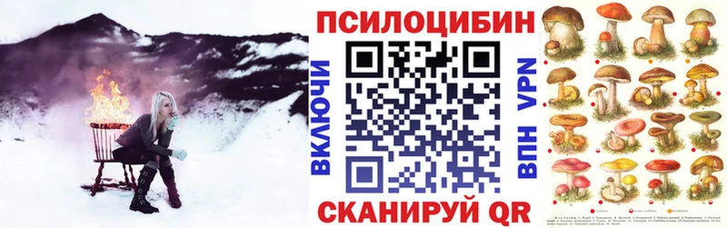 Купить где  Новоалтайск  Галлюциногенные грибы ЛСД 